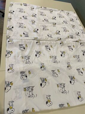 2 Peanuts Pillow Cases Snoopy and Woodstock